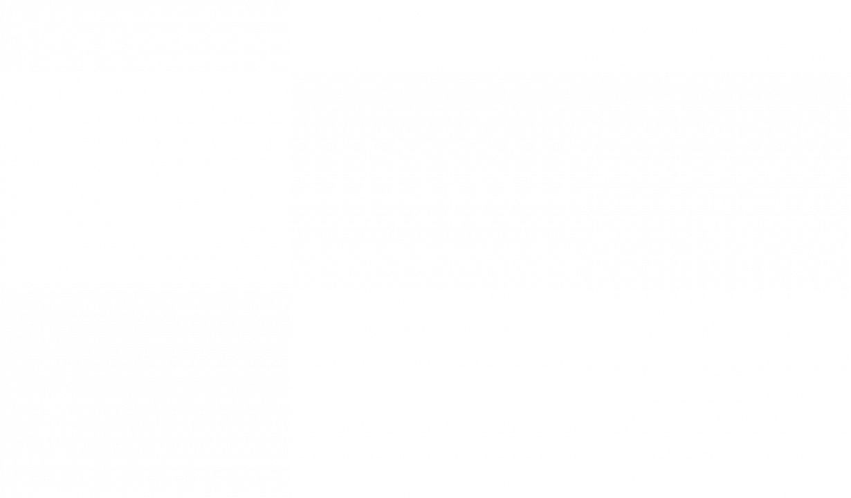 Alliance for the Visual Arts (AVA)