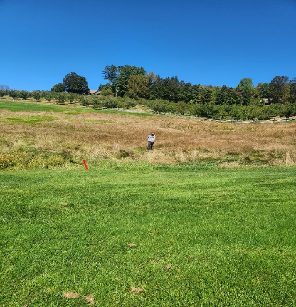 Man searching for golf ball in tall grass